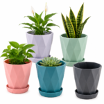 Diamond Design Plastic Flower Pots with Tray – Pack of 5 Multicolor Planters